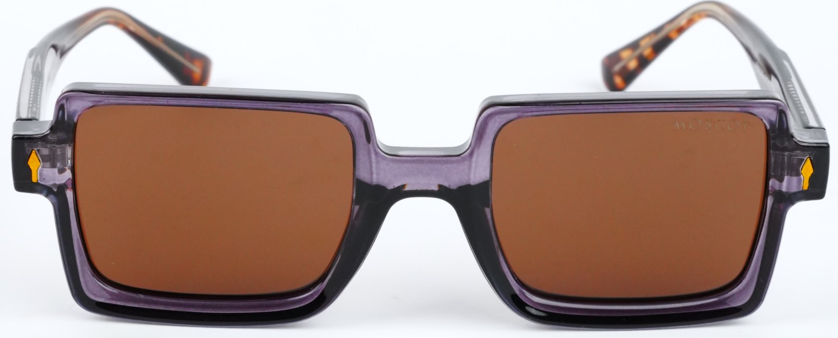DSC09698 Moscot RN9037 Polarized Sunglasses for Men | Eye Craft BD - Image 1